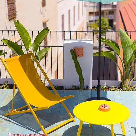 Cozy Charming In Historic Center * Alicante